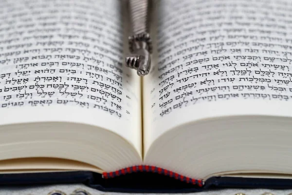 Tevrat Gümüş Rengi Bir Yad Yahudi Ritüel Işaretçisi Dini Sembol — Stok fotoğraf