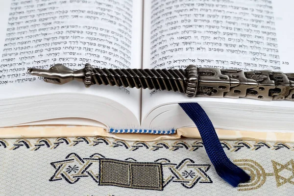 Puntatore Rituale Ebreo Yad Argento Una Torah Simbolo Religioso — Foto Stock