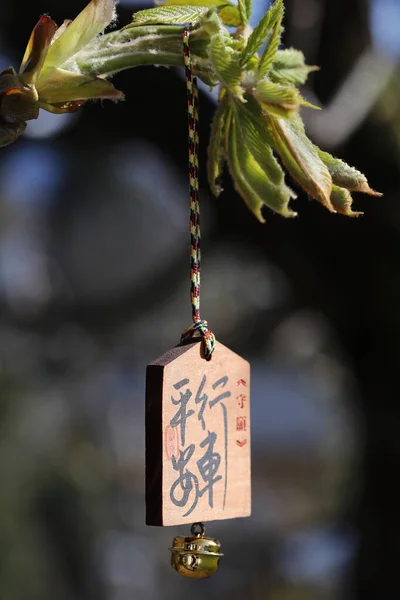 Buddhistická Čínská Písma Dřevě Náboženský Symbol — Stock fotografie