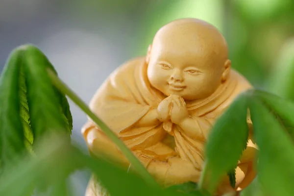 Buddhista Szerzetes Szobor Egy Fán Vallási Szimbólum — Stock Fotó