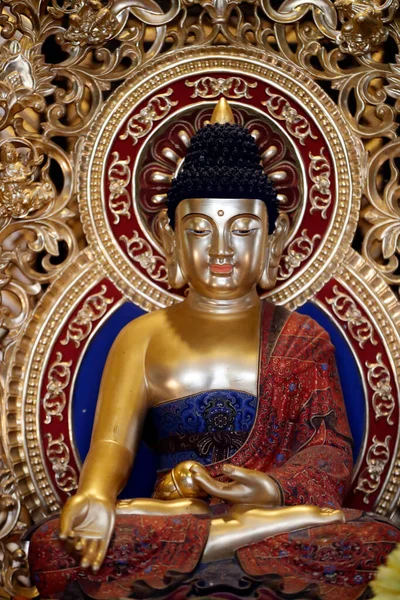 Thien Ung Buddhistický Chrám Socha Zlatého Buddhy Quy Nhon Vietnam — Stock fotografie