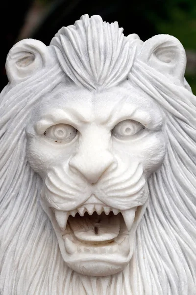 stock image Long Khanh Buddhist Pagoda.  Guardian lion at entrance. Statue. Quy Nhon. Vietnam. 