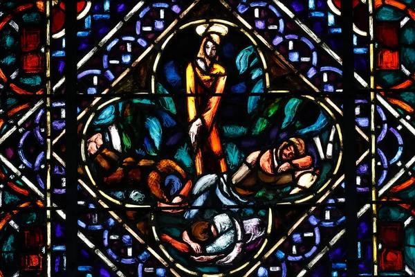 Katedralen Notre Dame Lausanne Fönster Målat Glas Jesus Bad Trädgården — Stockfoto