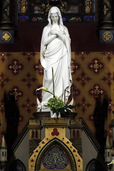 日内瓦圣母大教堂 教皇庇护九世献上的日内瓦圣母塑像 — 图库照片