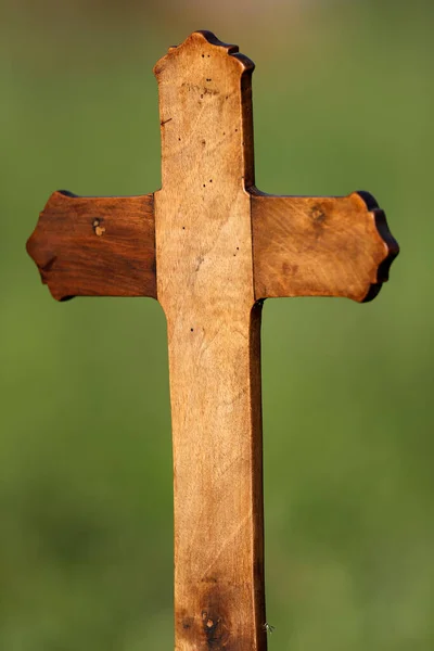 자연의 나무로 기독교 십자가 프랑스 — 스톡 사진