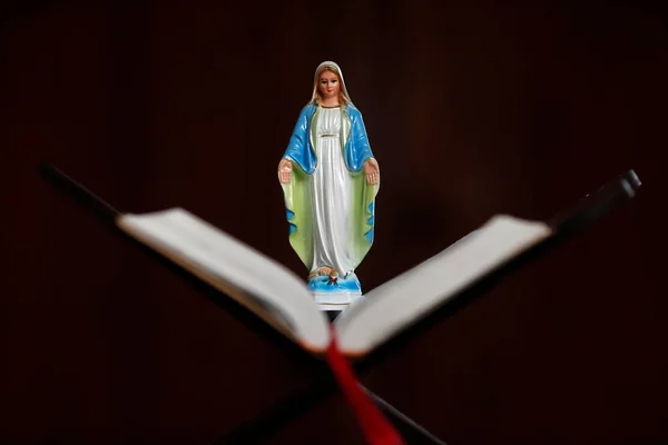 Діва Марія Зображена Відкритій Біблії Франція — стокове фото