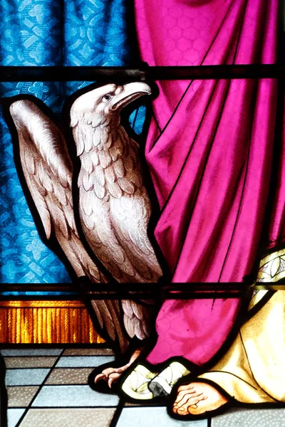 Witraże Ewangelista Jan Autor Czwartej Ewangelii Symbolizuje Orła Thorens Francja — Zdjęcie stockowe