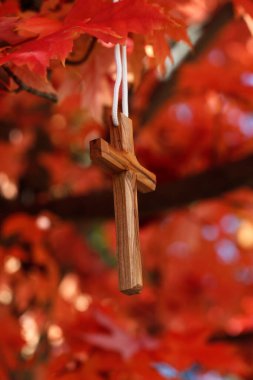 Kırmızı yapraklı bir ağaç dalında Hristiyan haçı asılı. Sonbahar. Fransa. 