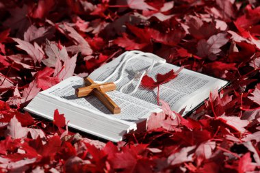 İncil ve Hristiyan haçı, kurumuş sonbahar yaprakları üzerinde. İnanç ve maneviyat. Fransa. 