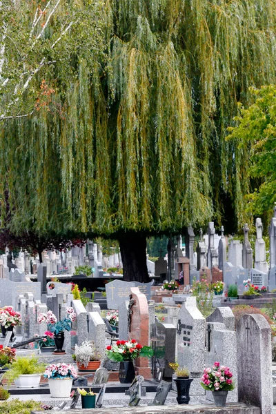 Graves Cemetery Annecy France — Stock Photo, Image