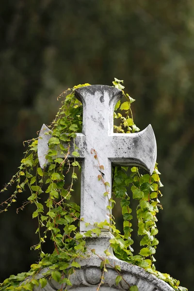 Grób Cmentarzu Kamienny Krzyż Anny Francja — Zdjęcie stockowe