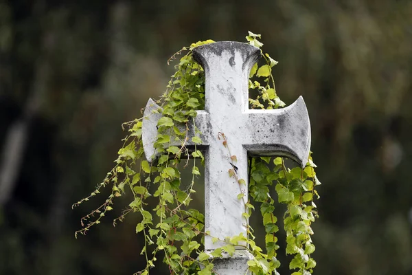 Hrob Hřbitově Stone Cross Annecy Francie — Stock fotografie