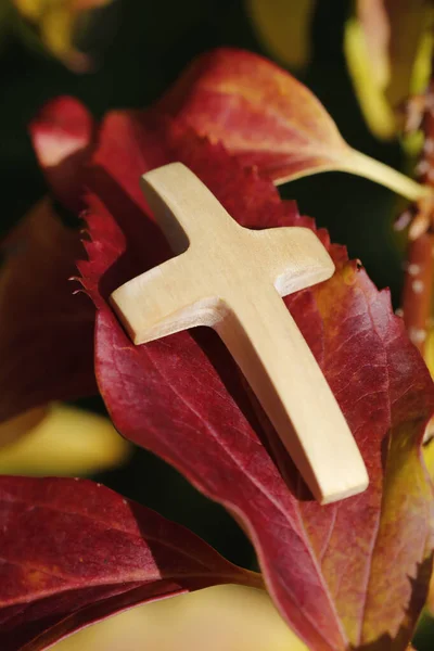 Christliches Holz Mit Herbstblättern Frankreich — Stockfoto