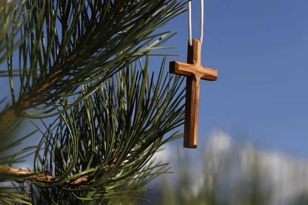Keresztény Fából Készült Kereszt Fenyőágakon Franciaország — Stock Fotó