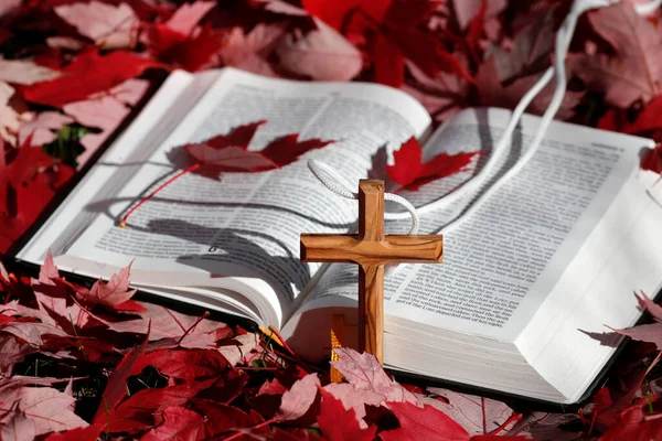 圣经和基督教十字架在秋天干枯的落叶上 信仰和灵性 — 图库照片