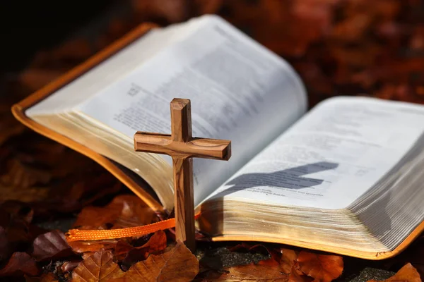 Открытый Библейский Христианский Крест Сухих Осенних Листьях Вера Духовность Франция — стоковое фото