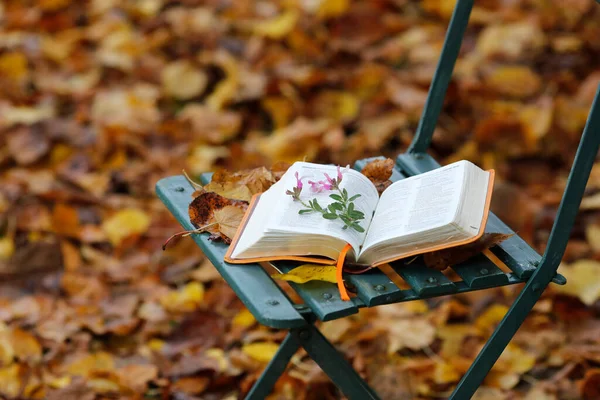 Biblia Krześle Opadłymi Jesiennymi Liśćmi Wiara Duchowość Francja — Zdjęcie stockowe