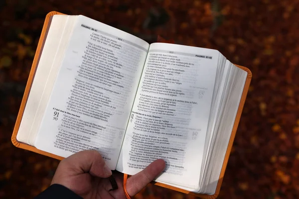 Homme Tenant Une Bible Ouverte Forêt Automne France — Photo