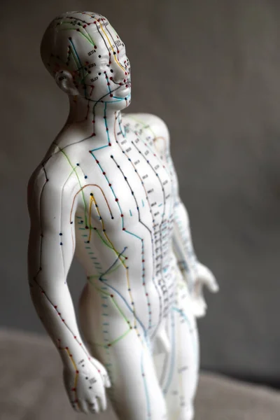 stock image Traditional chinese medecine.  A male model with marked acupuncture points.  France. 