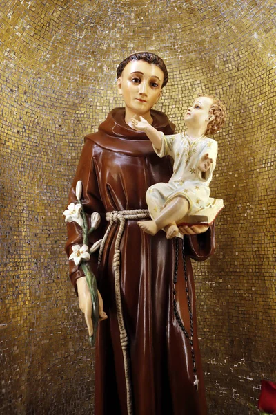 Der Heilige Antonius Von Padua Mit Dem Jesuskind Italien — Stockfoto