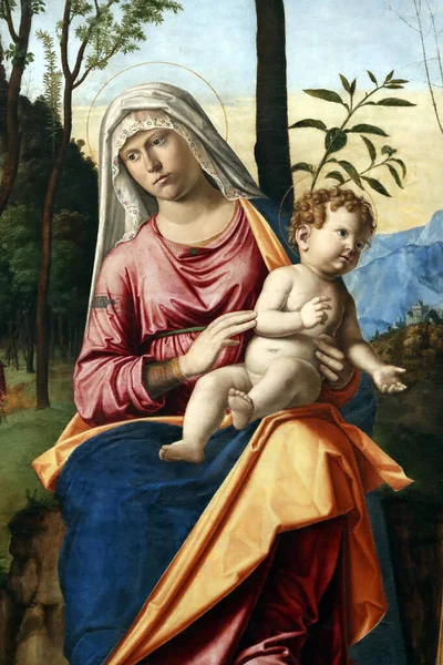 Galerie Dellaccademia 입니다 Virgin Child Saints Jerome Louis Toulouse Giambattista — 스톡 사진