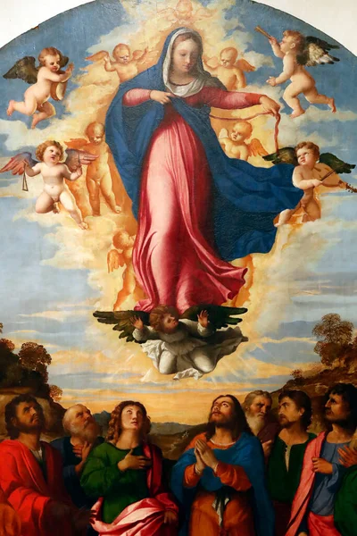 Gallerie Dell Accademia Assumpening Virgin Palma Vecchio Serina 1513 — стокове фото