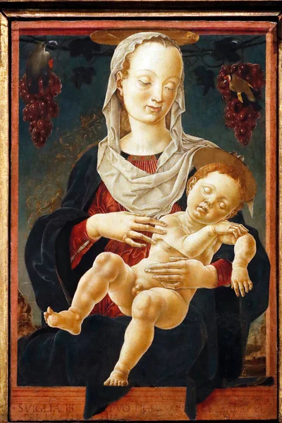 Gallerie Dell Accademia Virgin Child Cosme Tura 1460 Italy — Stock Photo, Image