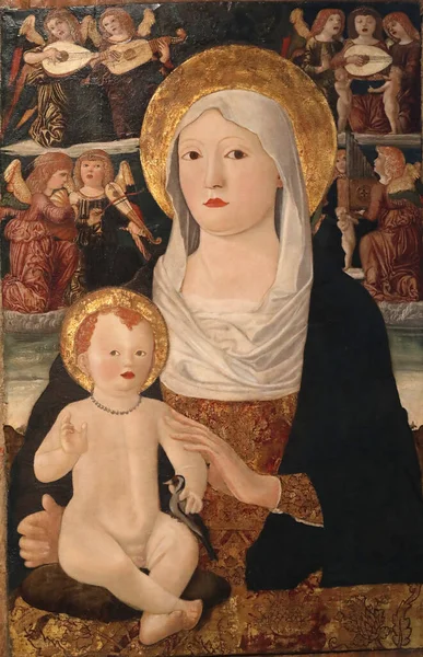 Gallerie Dell Accademia Madonna Copilul Concertul Îngerilor Francesco Tolmezzo Panou — Fotografie, imagine de stoc