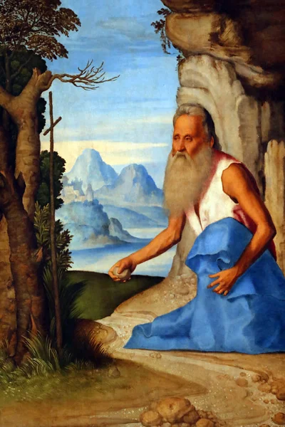 Galerie Dell Accademia Święty Jerome Marco Basaiti Drewniany Panel 1470 — Zdjęcie stockowe