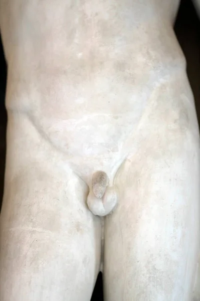 Jenish Museum Detail Penis Male Statue — Stockfoto