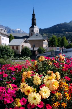 Fransız Alpleri 'ndeki Saint Gervais les Bains köyünde renkli çiçekler. Fransa. 