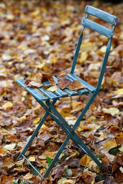 Jesienią Krzesło Ogrodowe Pokryte Opadłymi Liśćmi Francja — Zdjęcie stockowe