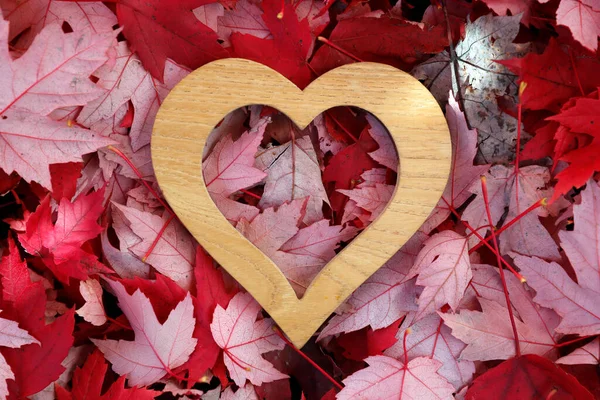 Wooden Heart Sculpture Maple Tree Red Coloured Autumn Leaves France — Stock Photo, Image