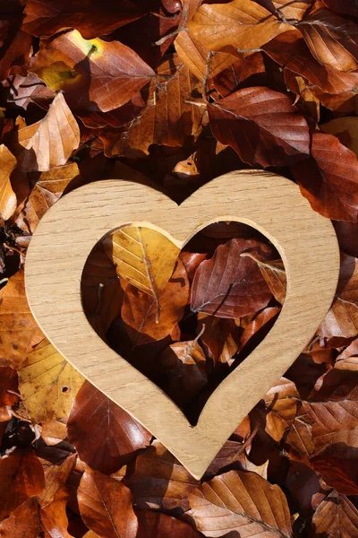 Wooden Heart Sculpture Coloured Autumn Leaves France — Stock Photo, Image