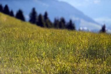 Yazın Mont d 'Arbois ve Mont Joux. Fransız Alpleri. Fransa. 