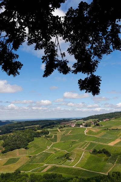 Chateau Chalon Fransa Nın Güzel Köylerinden Biridir Doğu Yakası Şaraplarıyla — Stok fotoğraf