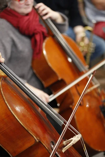 勃朗峰风管弦乐队圣日耳曼法国 — 图库照片