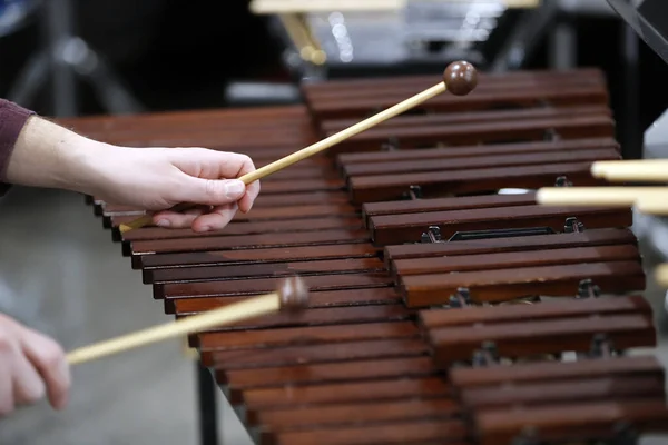勃朗峰风管弦乐队Xylophone 圣日耳曼法国 — 图库照片