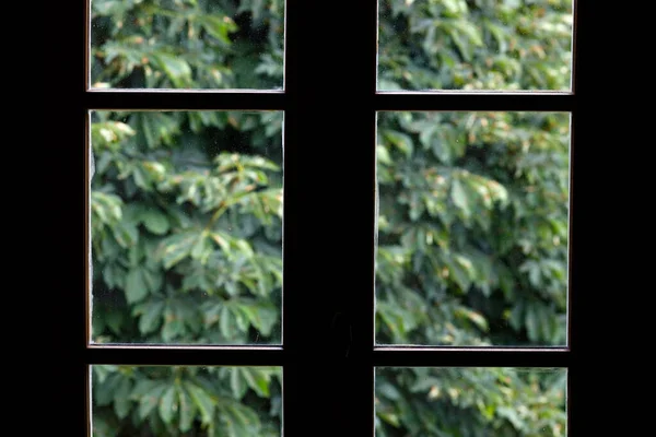 Blick Auf Baum Durch Fensterrahmen Frankreich — Stockfoto