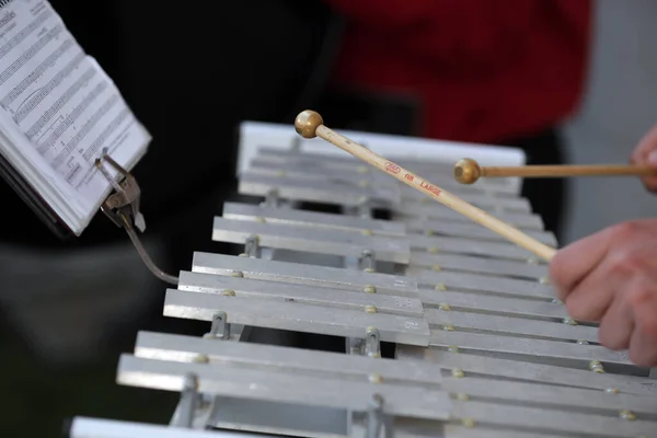 管弦乐队 Xylophone播放器 — 图库照片