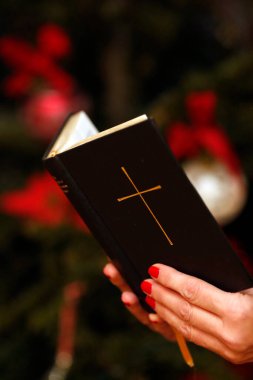 Arka planda Noel ağacı olan bir kadın İncil okuyor. Cenevre. İsviçre. 