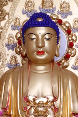 Tu Quang Budist tapınağı. Shakyamuni Buda heykeli. Güzelmiş. Fransa. 