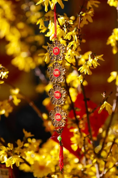 Çin Yeni Yılı Tet Dekorasyonları Sarı Ağaçta Fransa — Stok fotoğraf