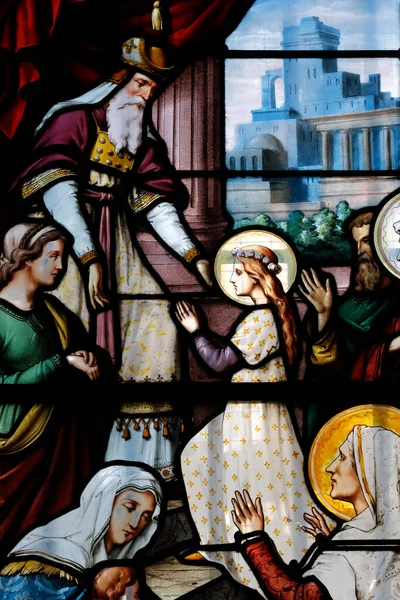 Базиліка Notre Dame Assomption Basilica Скляне Скло Презентація Пресвятої Діви — стокове фото