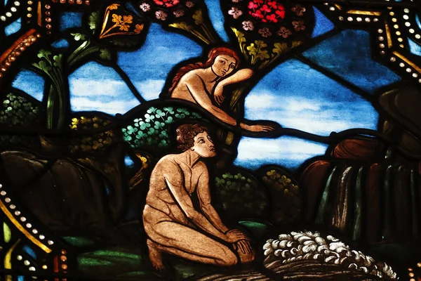 Notre Dame Assomption Basilica Stained Glass Window Adam Eve Garden — Stock Photo, Image