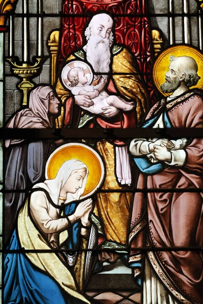 Notre Dame Assomption Basilica Skleněné Okno Prezentace Ježíše Chrámu Pěkný — Stock fotografie