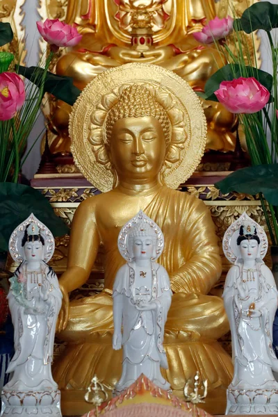Quang Buddhistický Chrám Buddhovy Sochy Hlavním Oltáři Pěkný Francie — Stock fotografie