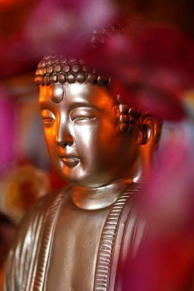 Hong Hien Buddhistischer Tempel Goldene Buddha Statue Auf Altar Frejus — Stockfoto