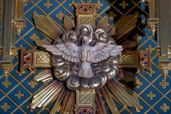 Almudena Katedrali Kutsal Ruh Güvercini Madrid Spanya — Stok fotoğraf