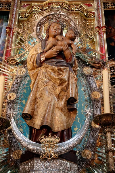 Кафедральний Собор Альмудена Статуя Діви Альмуденської Божевільному Соборі Мадрид Іспанія — стокове фото
